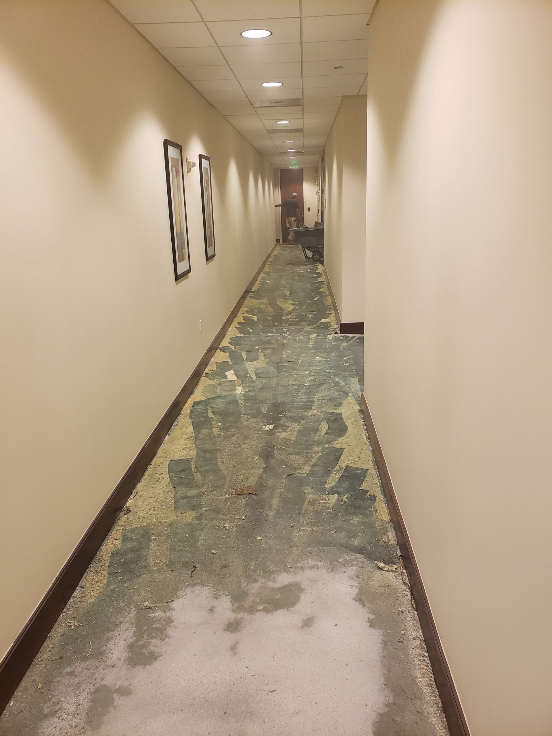 Glue Down Carpet Removal Services JBL Flooring Solutions